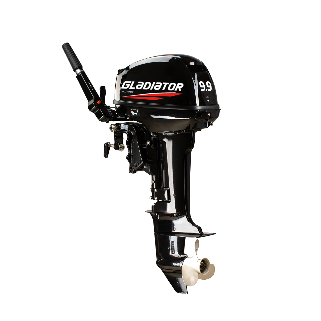 ЛОДОЧНЫЙ МОТОР GLADIATOR G9.9FHS в Саратове