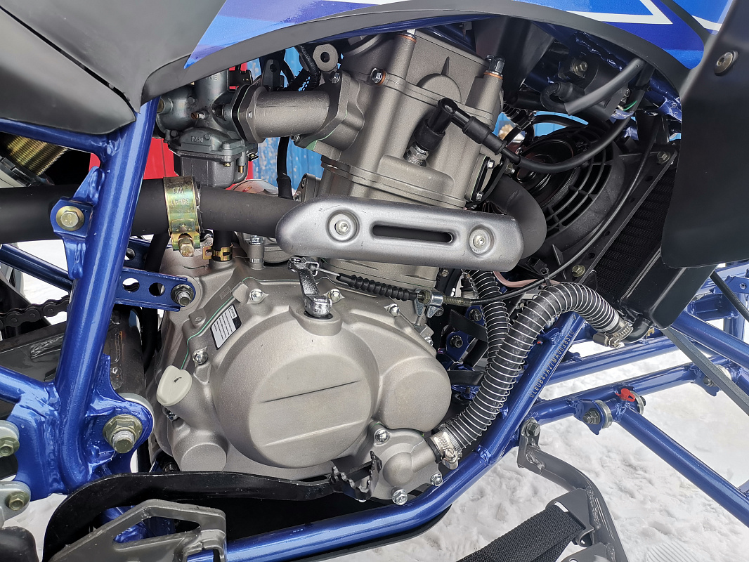 Квадроцикл PROMAX RAPTOR 300 NEW RedBull в Саратове