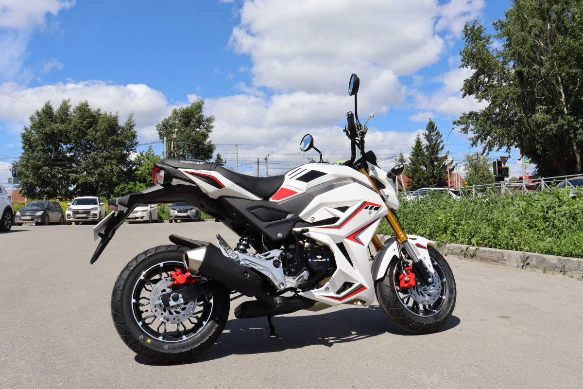 Мотоцикл PROMAX STRYKER 200(49) 2.0 в Саратове