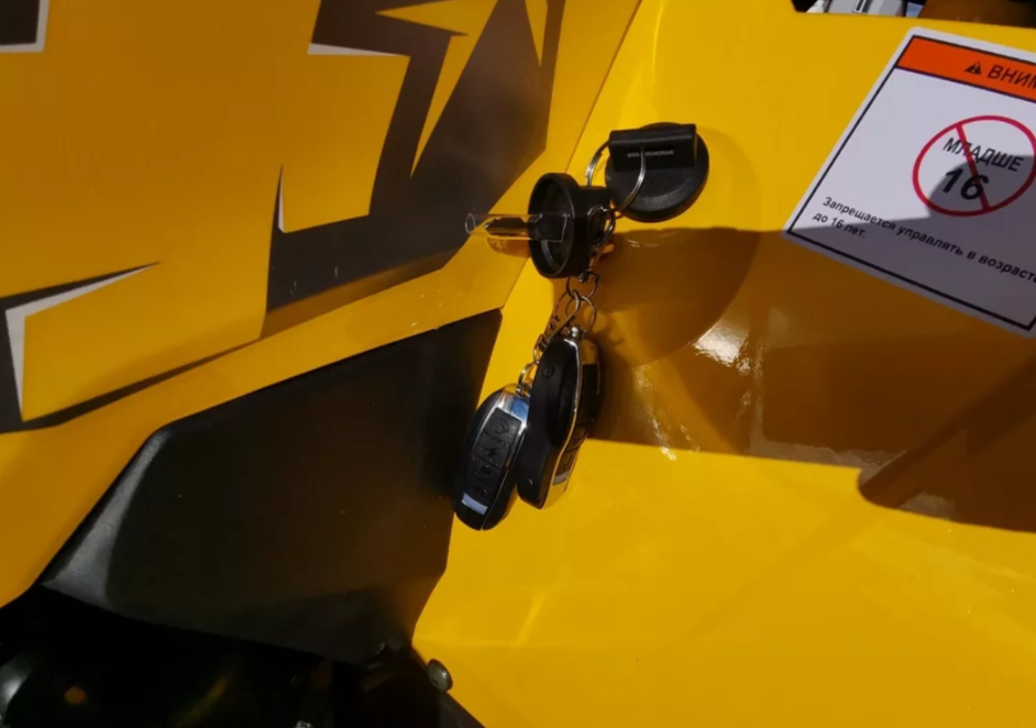 Квадроцикл MOTOLAND (МОТОЛЕНД) VOX200 WILD TRACK X PRO (баланс. вал) в Саратове