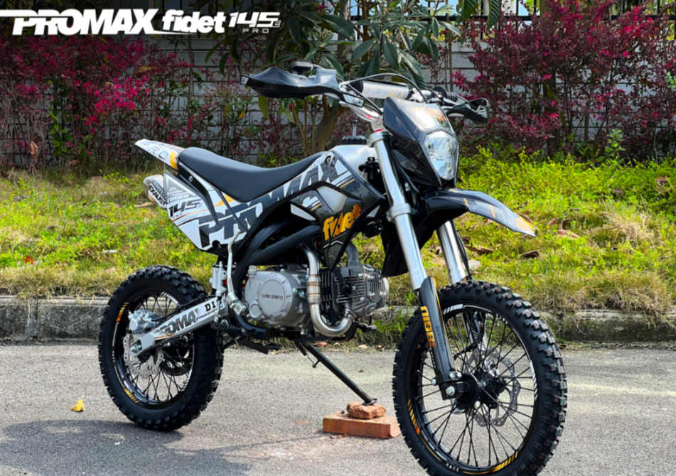Мотоцикл (питбайк) PROMAX FIDET (ФАЙДЕТ) 145E PRO 17/14 в Саратове