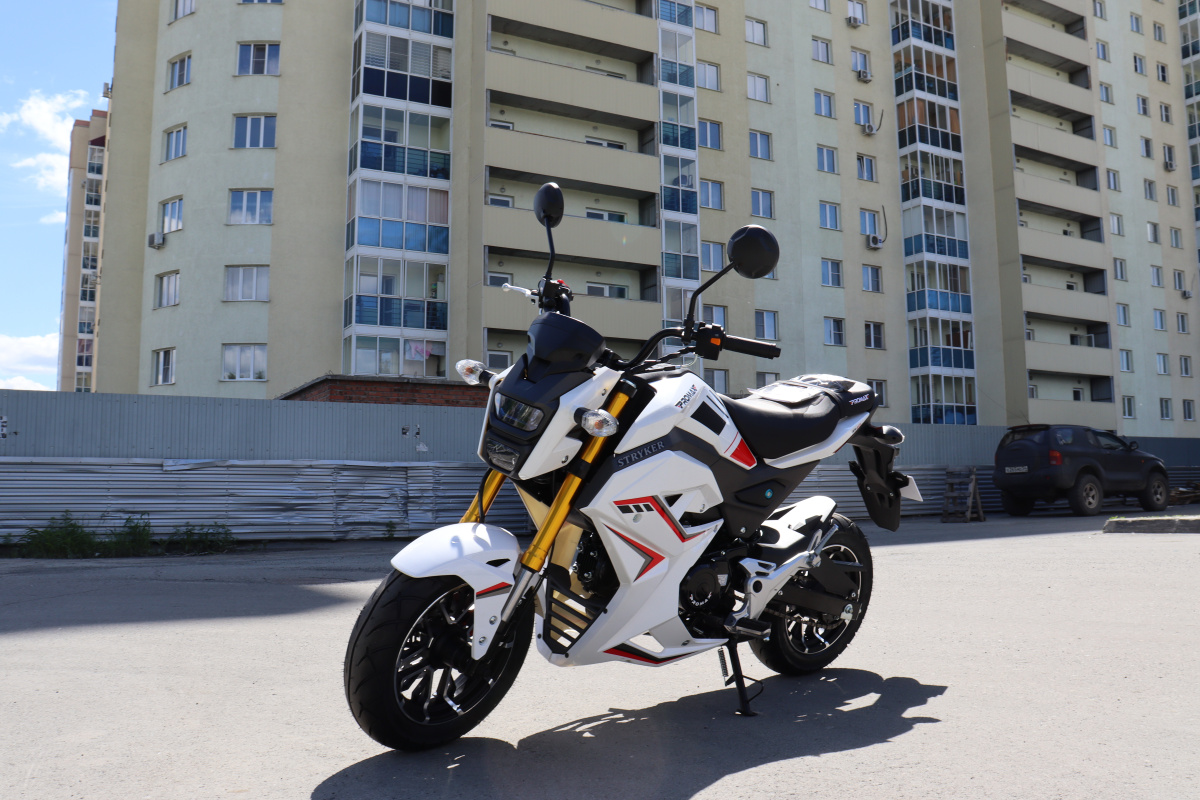 Мотоцикл PROMAX STRYKER 200(49) 2.0 в Саратове