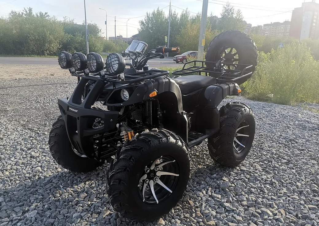 Квадроцикл PROMAX LEO 300 Max (кардан) в Саратове