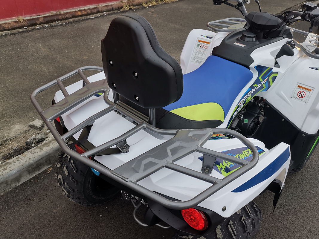 Квадроцикл PROMAX RENEGADE 280 LUX (2025) в Саратове