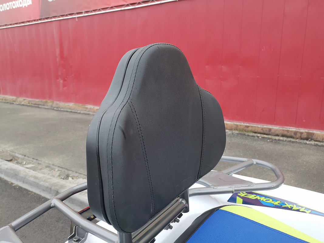 Квадроцикл PROMAX RENEGADE 280 LUX (2025) в Саратове