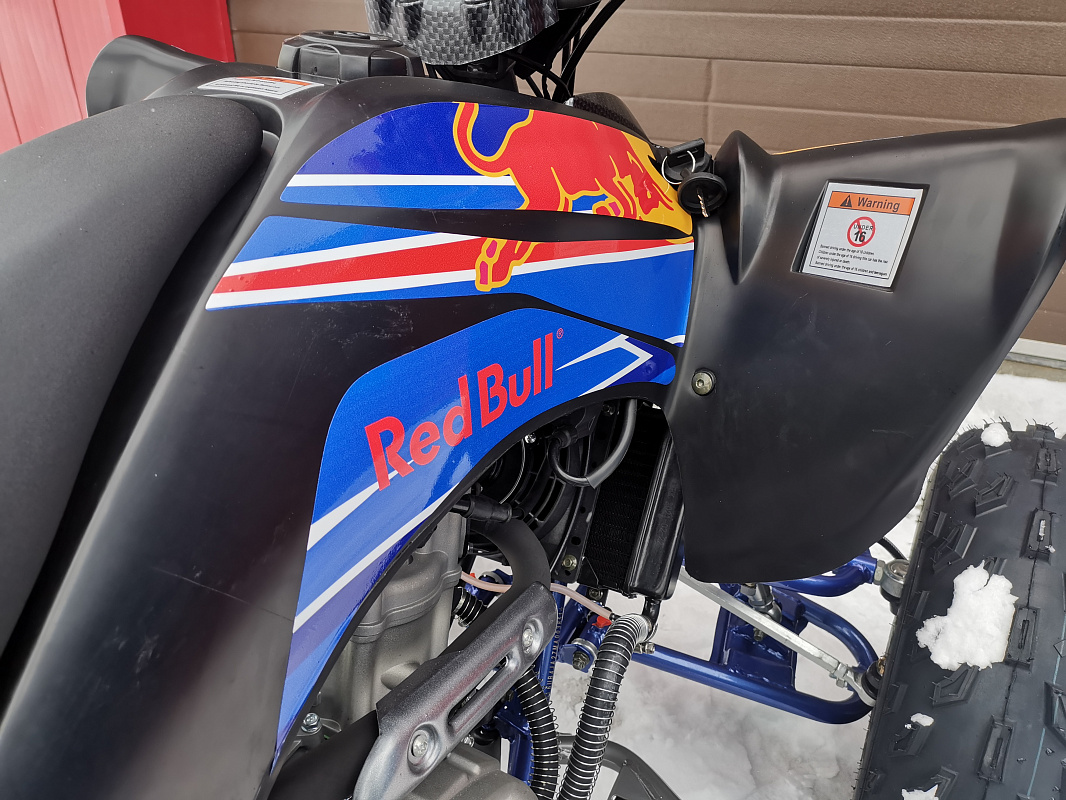 Квадроцикл PROMAX RAPTOR 300 NEW RedBull в Саратове
