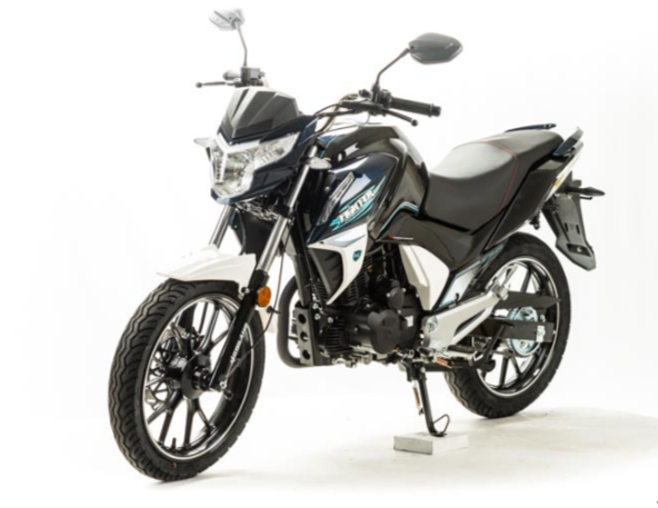 Мотоцикл MOTOLAND (МОТОЛЕНД) FIGHTER 250 в Саратове