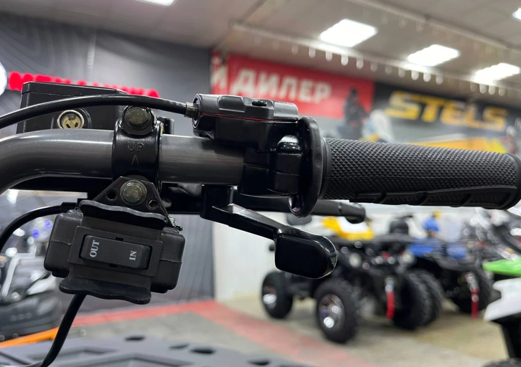 Квадроцикл PROMAX RENEGADE 300 LONG WINCH PRO (2025) в Саратове