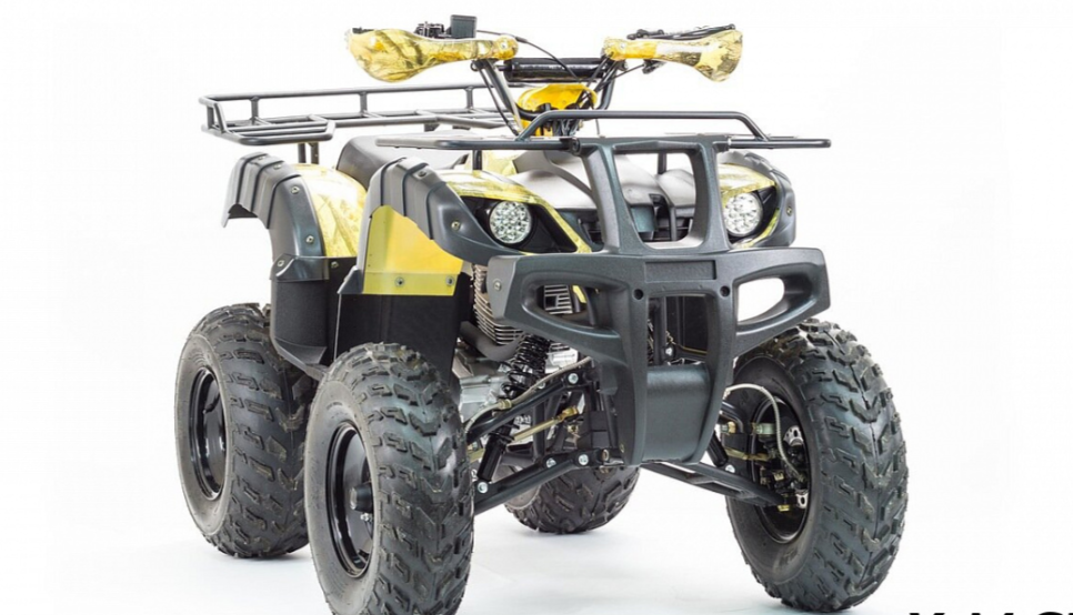 Квадроцикл MOTOLAND (МОТОЛЕНД) 250 ADVENTURE в Саратове