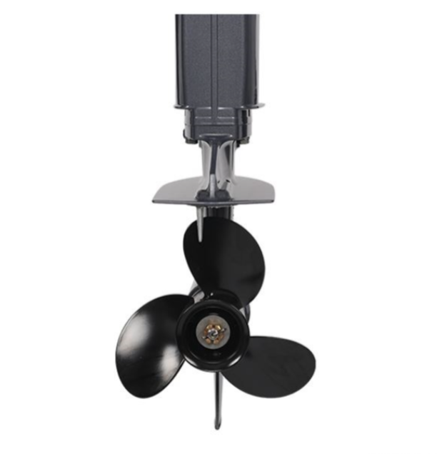 Лодочный мотор ALLFA CG Т40FW S в Саратове