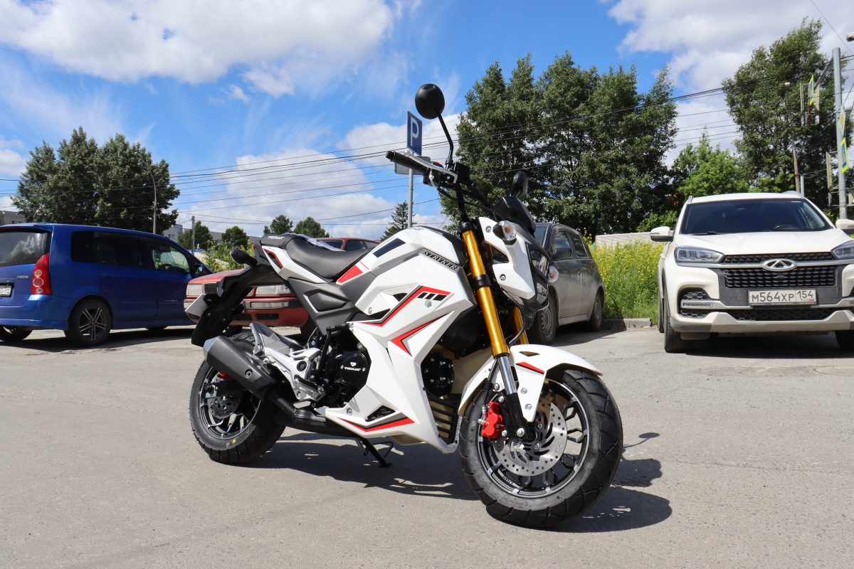 Мотоцикл PROMAX STRYKER 200(49) 2.0 в Саратове