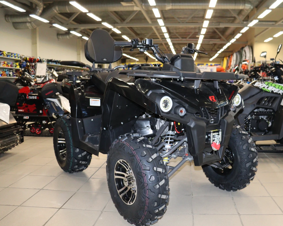Квадроцикл PROMAX RENEGADE 300 LONG WINCH PRO (2025) в Саратове