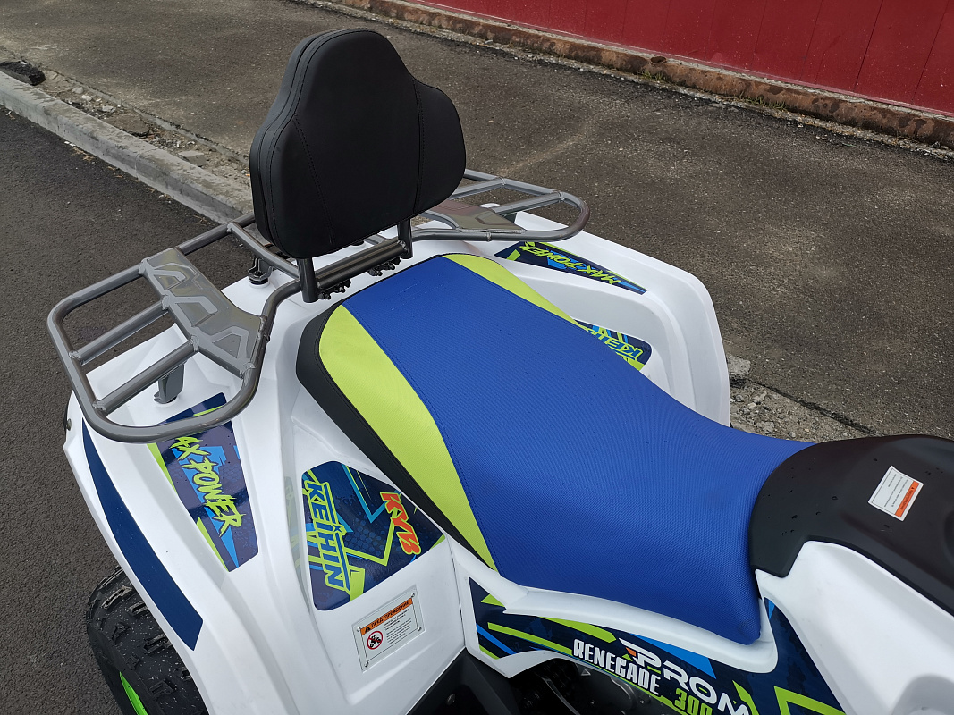 Квадроцикл PROMAX RENEGADE 280 LUX (2025) в Саратове