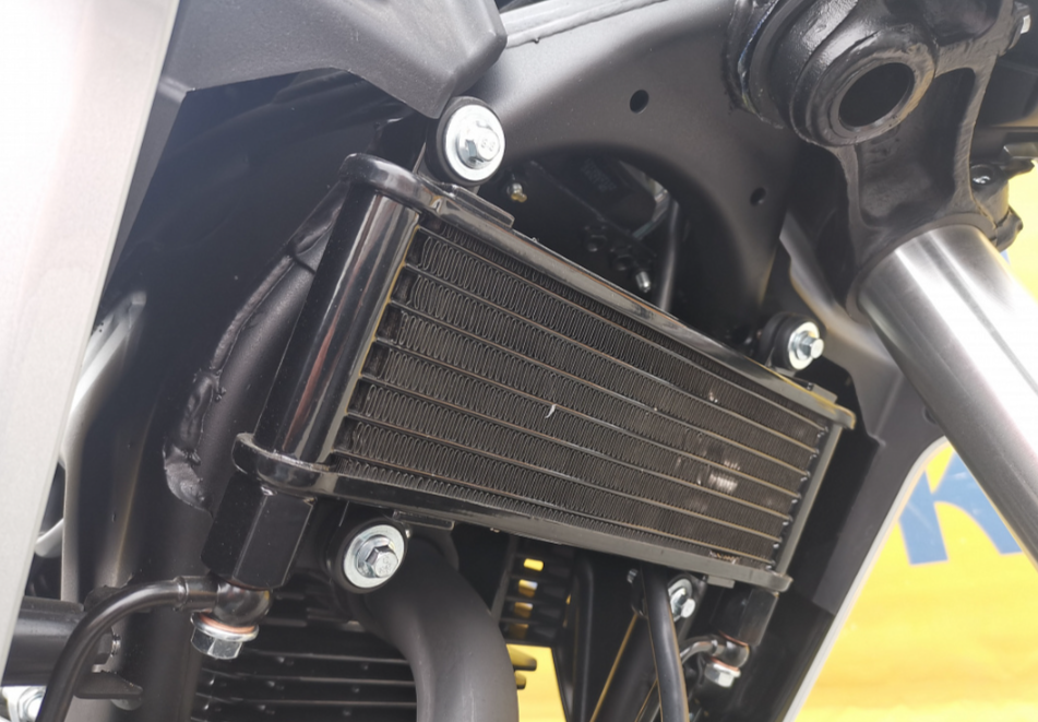 Мотоцикл MOTOLAND (МОТОЛЕНД) 250 CB250 (172FMM-5/PR250) (2022 г.) в Саратове