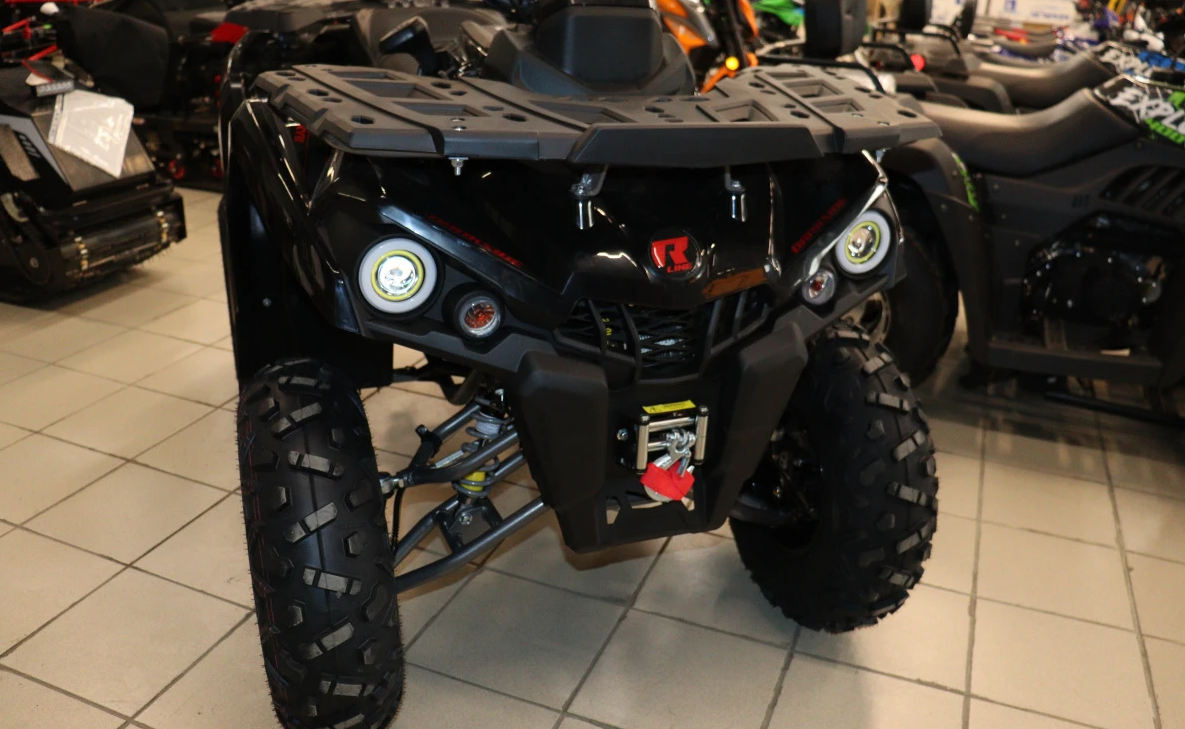 Квадроцикл PROMAX RENEGADE 300 LONG WINCH PRO (2025) в Саратове