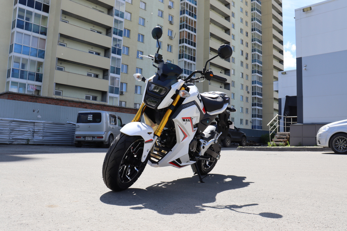 Мотоцикл PROMAX STRYKER 200(49) 2.0 в Саратове