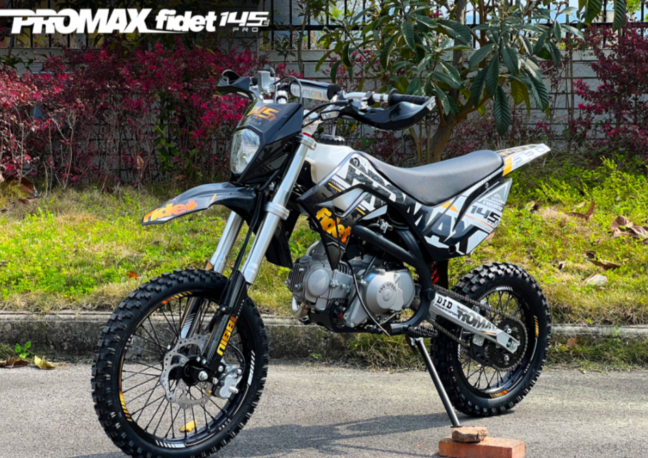 Мотоцикл (питбайк) PROMAX FIDET (ФАЙДЕТ) 145E PRO 17/14 в Саратове