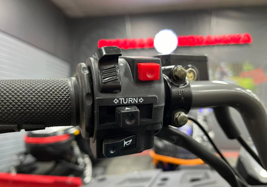 Квадроцикл PROMAX RENEGADE 300 LONG WINCH PRO (2025) в Саратове