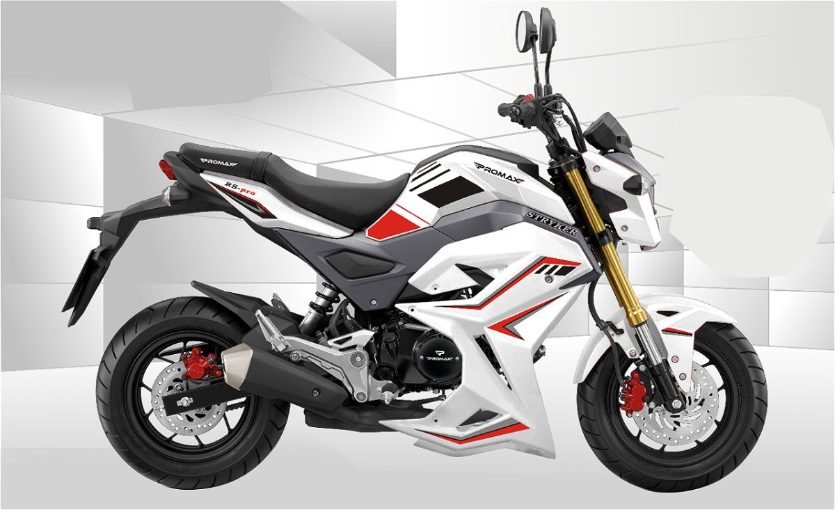 Мотоцикл PROMAX STRYKER 200(49) 2.0 в Саратове