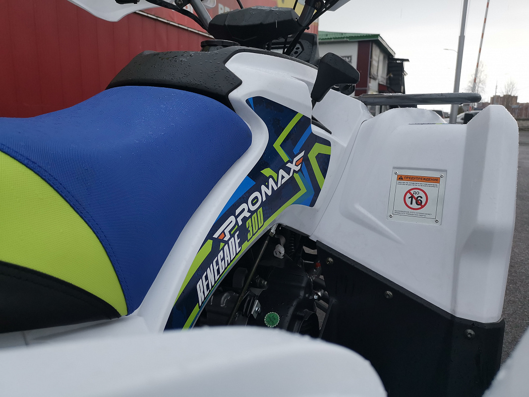 Квадроцикл PROMAX RENEGADE 280 LUX (2025) в Саратове