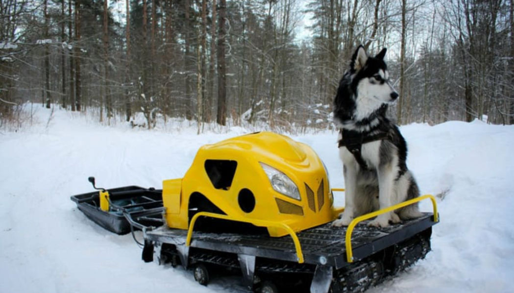 Мотобуксировщик LEBEDEV MOTORS ВОЛКОДАВ POWER V13 в Саратове