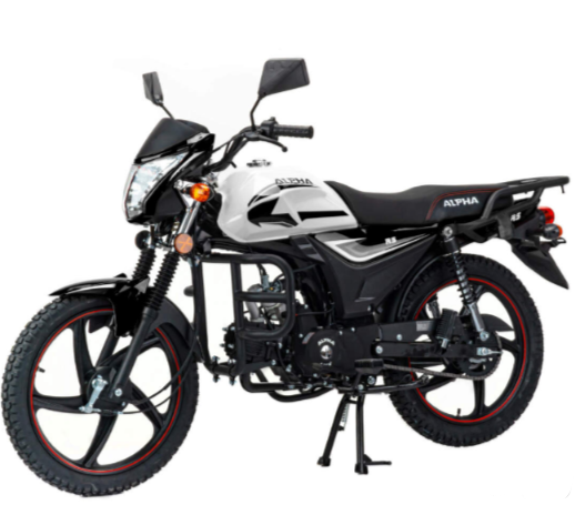 Мопед MOTOLAND (МОТОЛЕНД) Альфа RS 11 (LM48-B) в Саратове