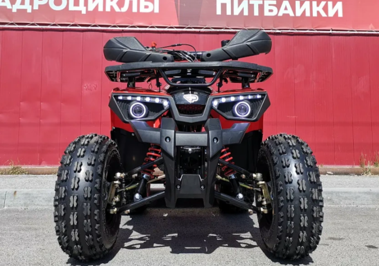 Квадроцикл PROMAX WILD 175 BASIC в Саратове