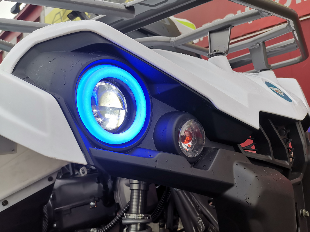 Квадроцикл PROMAX RENEGADE 280 LUX (2025) в Саратове