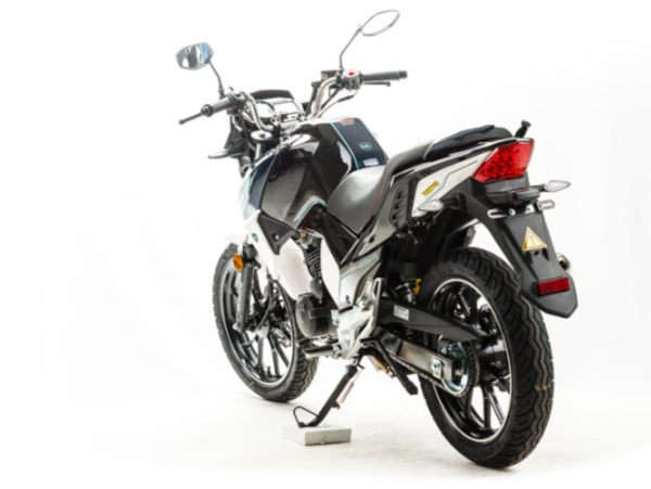 Мотоцикл MOTOLAND (МОТОЛЕНД) FIGHTER 250 в Саратове