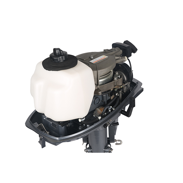 ЛОДОЧНЫЙ МОТОР ALLFA CG T5 в Саратове