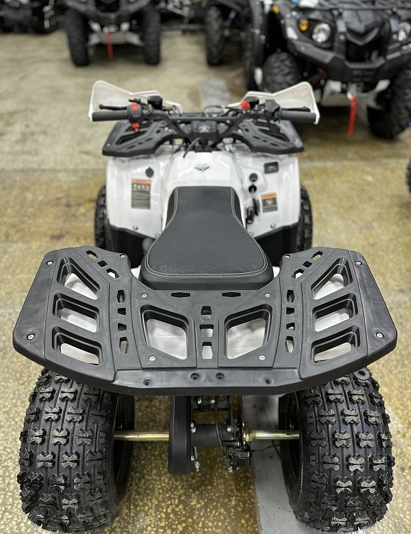 Квадроцикл PROMAX WILD 2.0 190 в Саратове