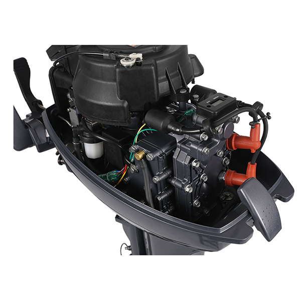 ЛОДОЧНЫЙ МОТОР ALLFA CG Т9,9 Limit в Саратове