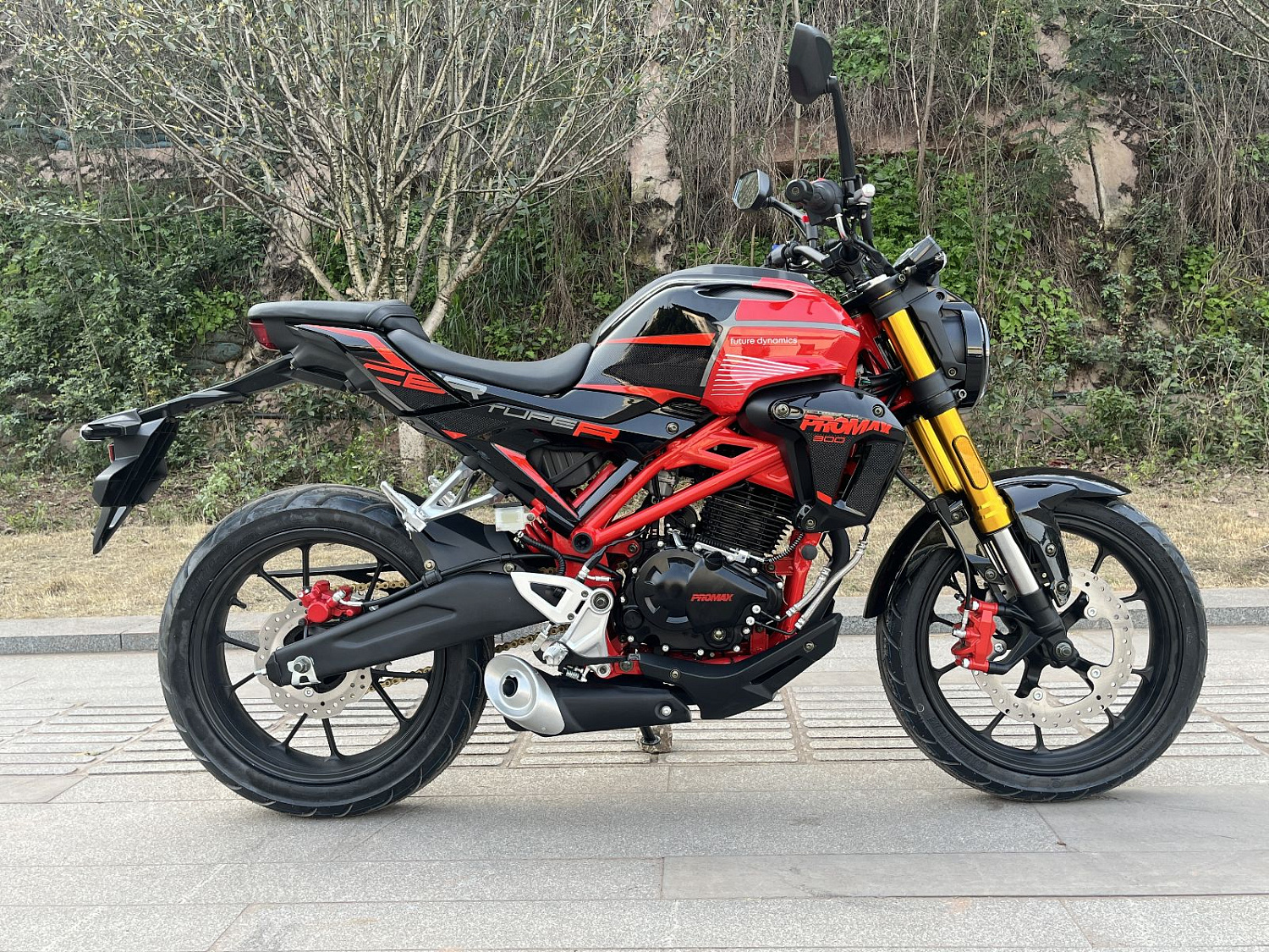 Мотоцикл PROMAX CB300 в Саратове