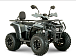 Квадроцикл YACOTA DRAGON LUX LD 150 PRO-SPORT в Саратове
