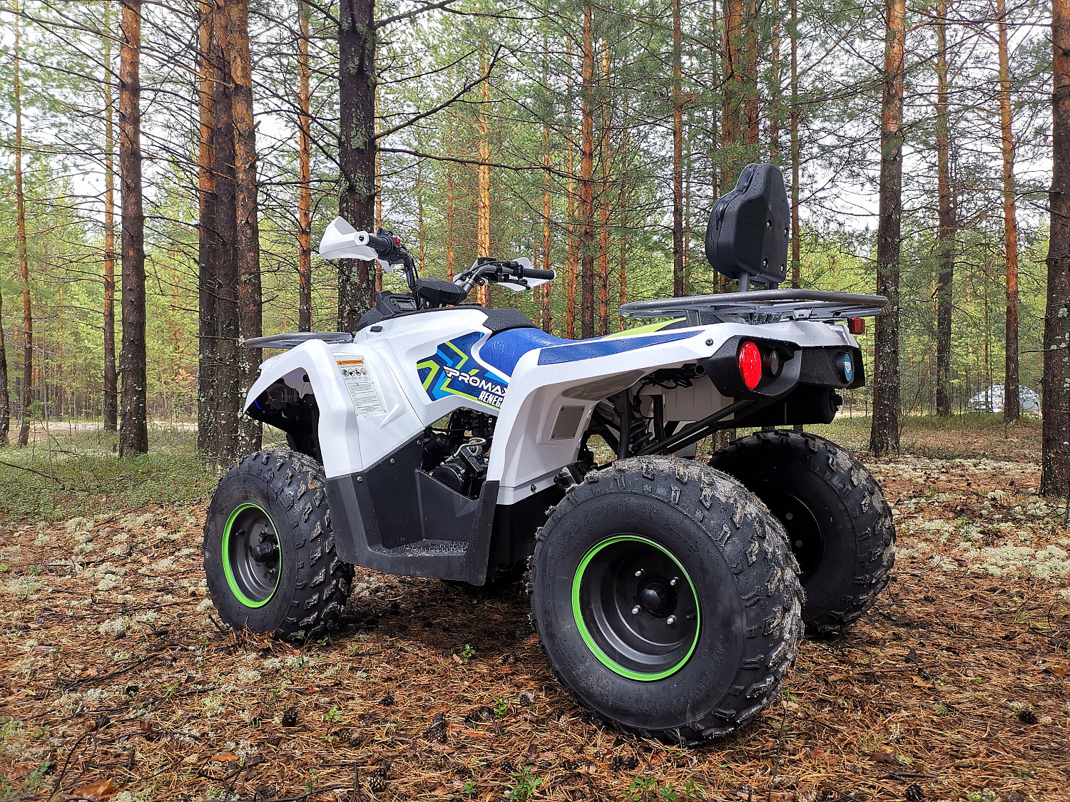 Квадроцикл PROMAX RENEGADE 280 (2025) в Саратове