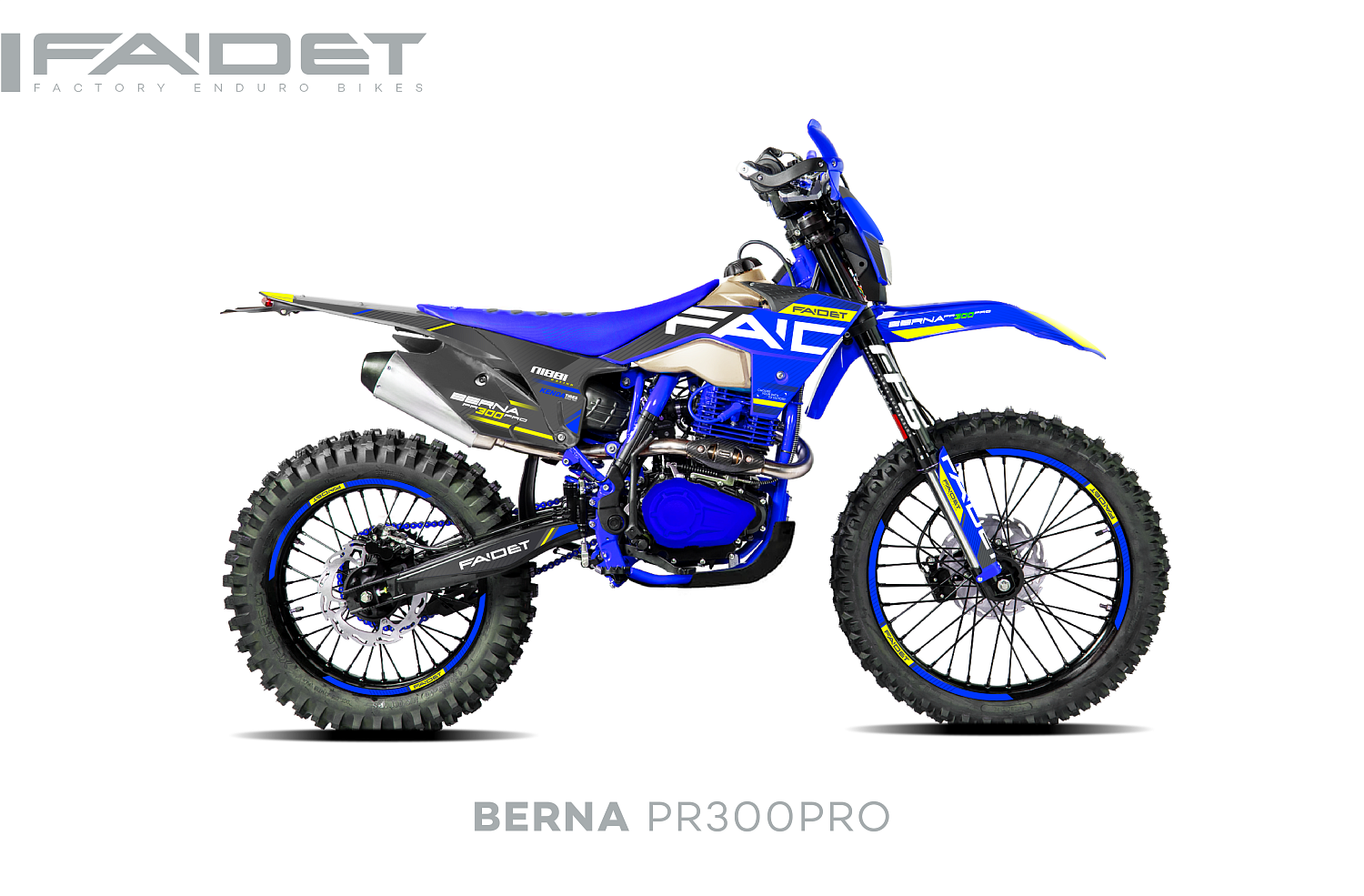 Кроссовый мотоцикл FAIDET BERNA PR300-PRO FPS в Саратове