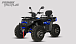 Квадроцикл PROMAX TAURUS 300 MAX-PRO LONG в Саратове