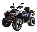 Квадроцикл MOTOLAND (МОТОЛЕНД) 300 MAX X в Саратове