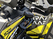 Квадроцикл PROMAX TAURUS 300 MAX-PRO в Саратове