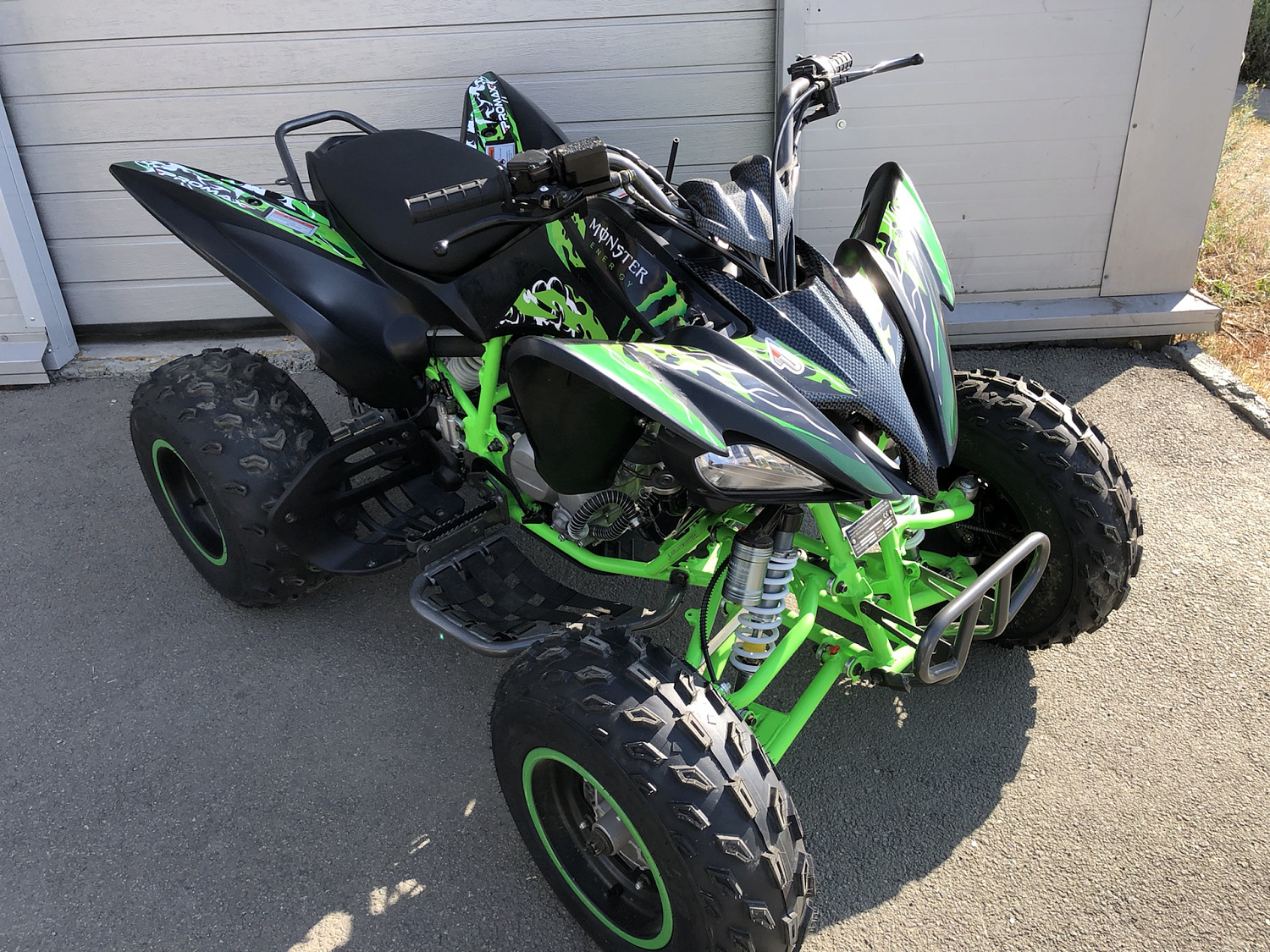 Квадроцикл PROMAX RAPTOR 300 NEW Monster в Саратове