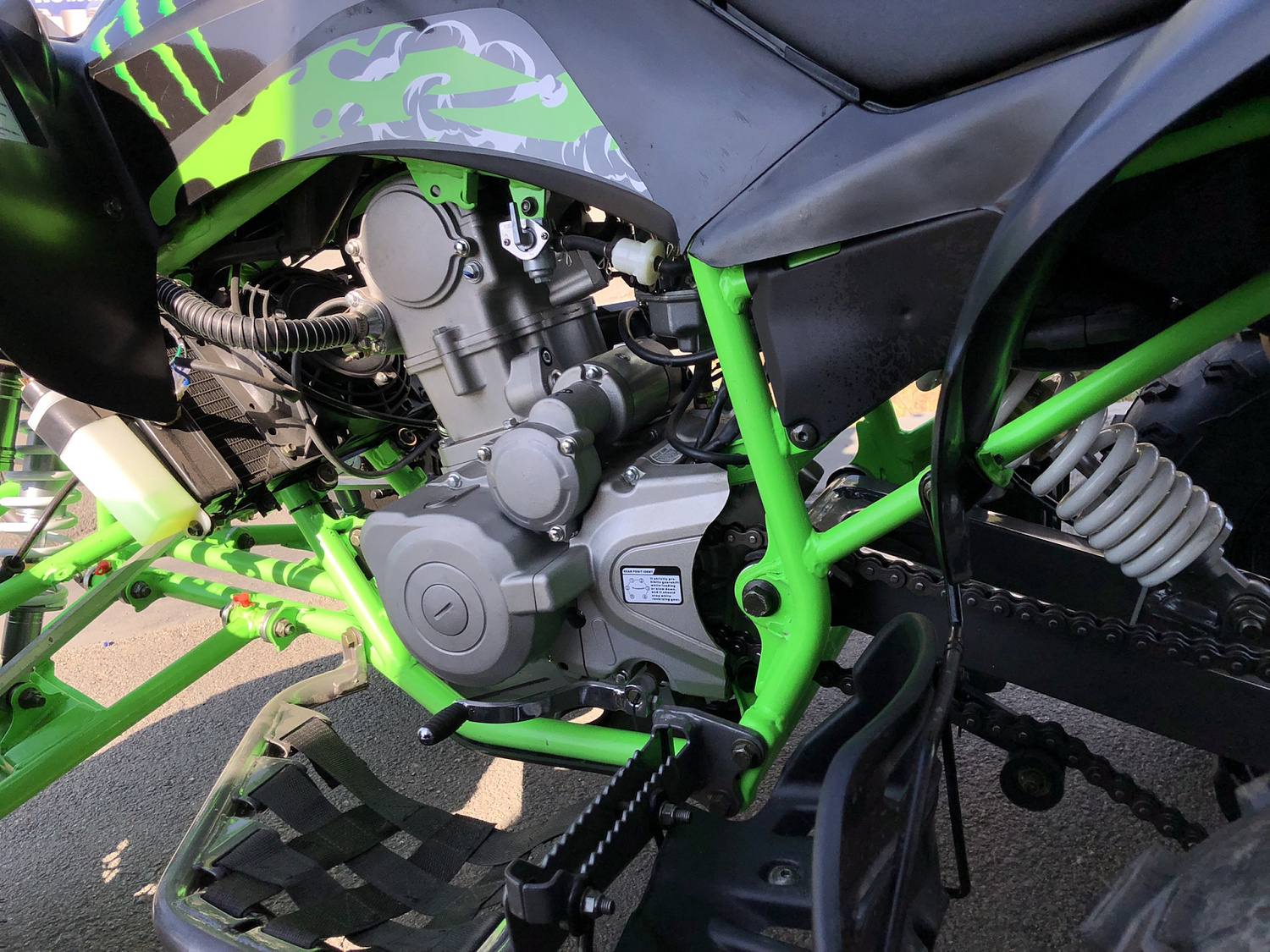 Квадроцикл PROMAX RAPTOR 300 NEW Monster в Саратове