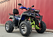  Квадроцикл PROMAX ATV 250 MAX (2025) в Саратове