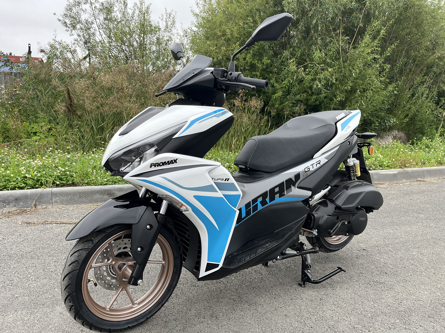 Скутер PROMAX TURAN 250 (49) в Саратове