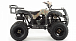 Квадроцикл MOTOLAND (МОТОЛЕНД) 200 ALL ROAD в Саратове