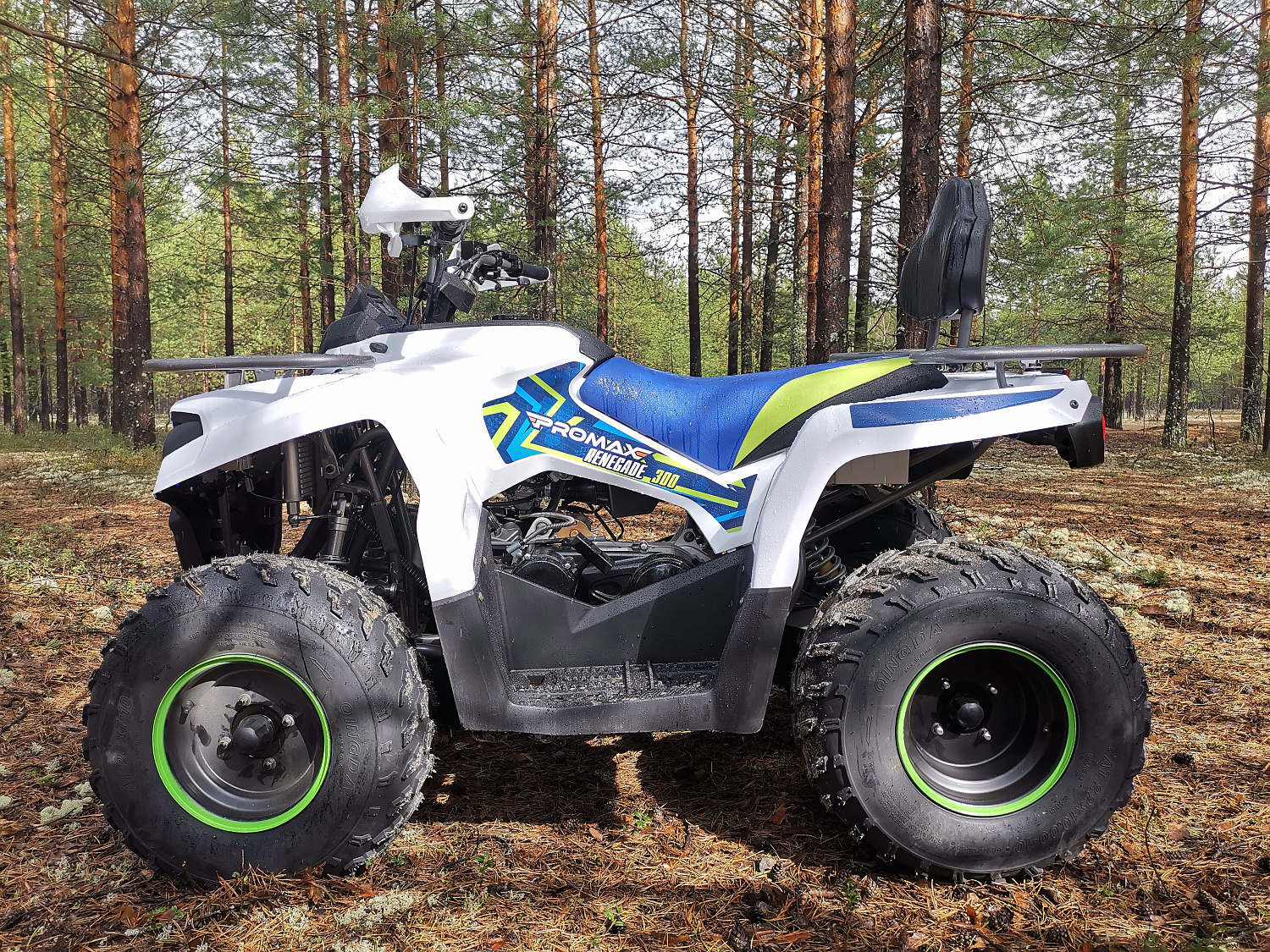 Квадроцикл PROMAX RENEGADE 280 (2025) в Саратове