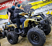 Квадроцикл PROMAX ATV 250 (2025) в Саратове