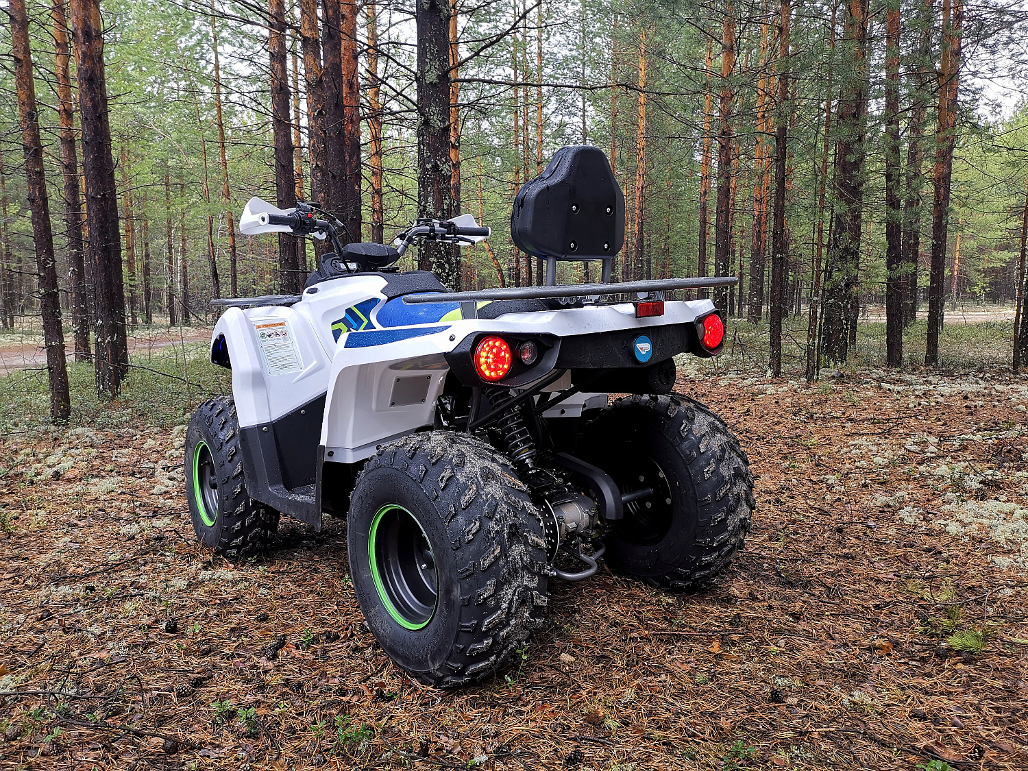 Квадроцикл PROMAX RENEGADE 280 (2025) в Саратове