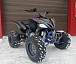 Квадроцикл PROMAX RAPTOR 300 NEW RedBull в Саратове