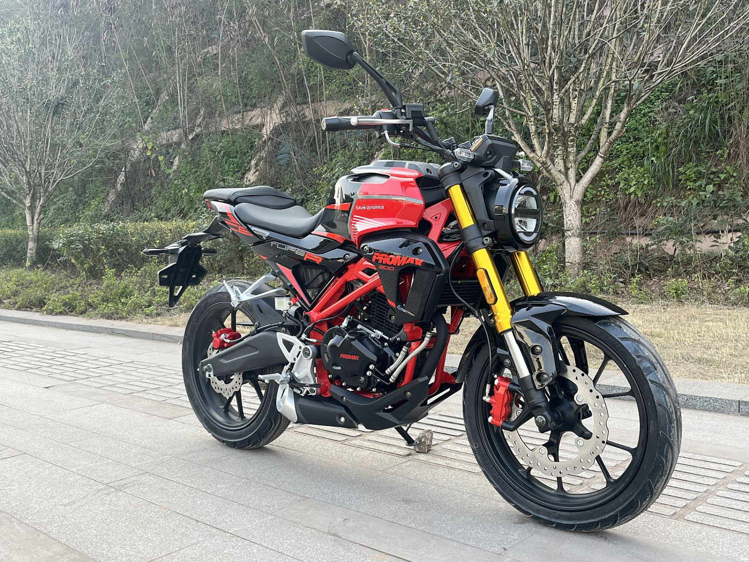 Мотоцикл PROMAX CB300 в Саратове