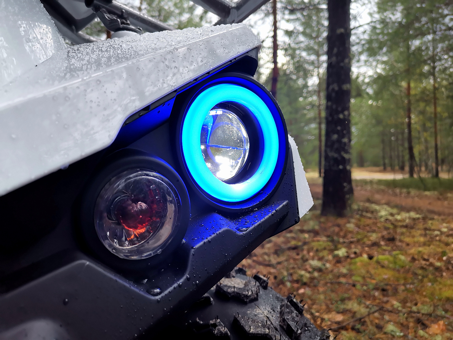 Квадроцикл PROMAX RENEGADE 280 (2025) в Саратове